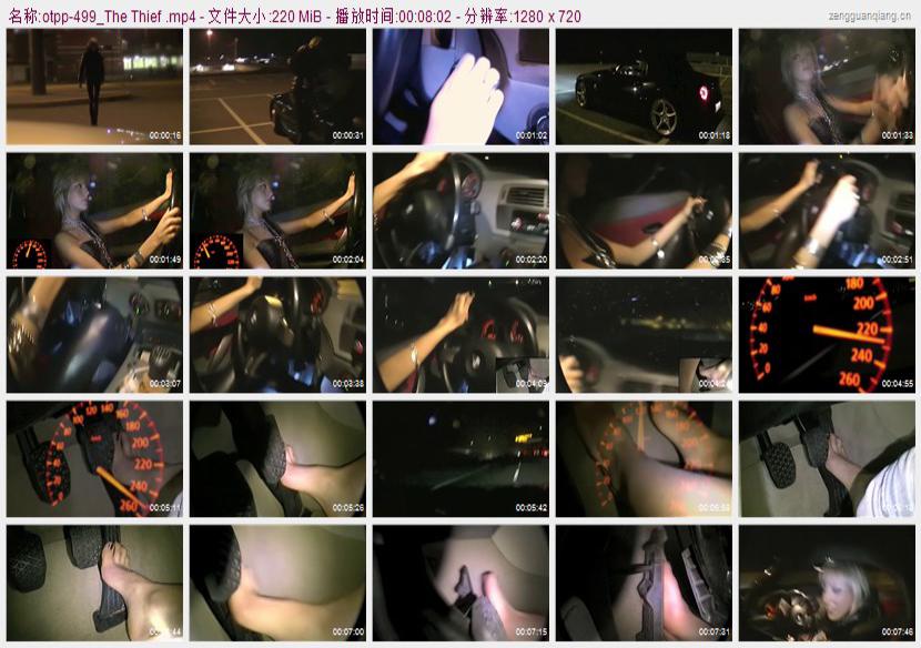 otpp-499_The Thief